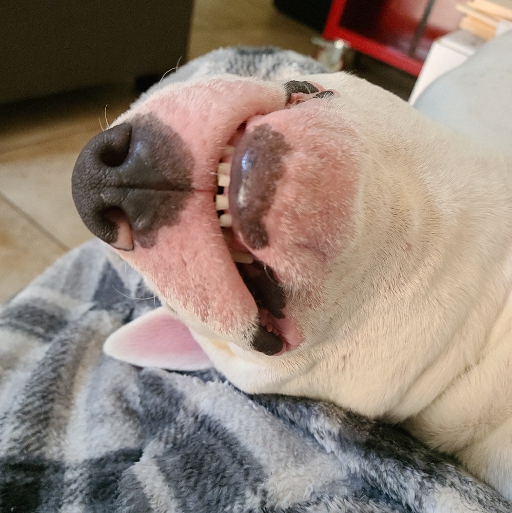 Meet your Posher, Brandy